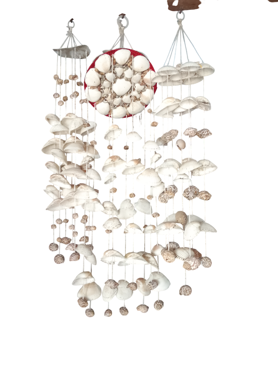 Sea Shell Chandelier Coconut Zimaya Stylish Beautiful Modern Design in Pakistan