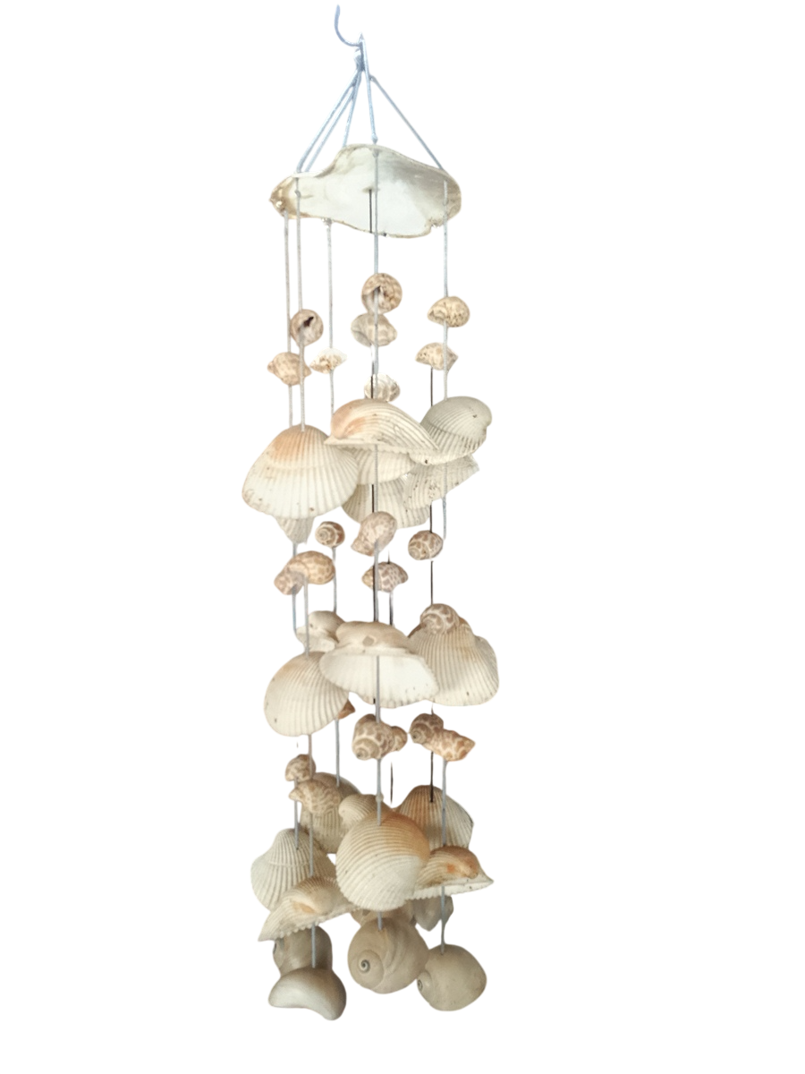 Sea Shell Chandelier Coconut Zaraya Stylish Beautiful Modern Design in Pakistan