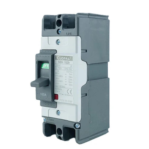 Clopal Heavy Duty 100Amp Double Pole Moulded Case Circuit Breaker Overload Short Circuit Protection in Pakistan